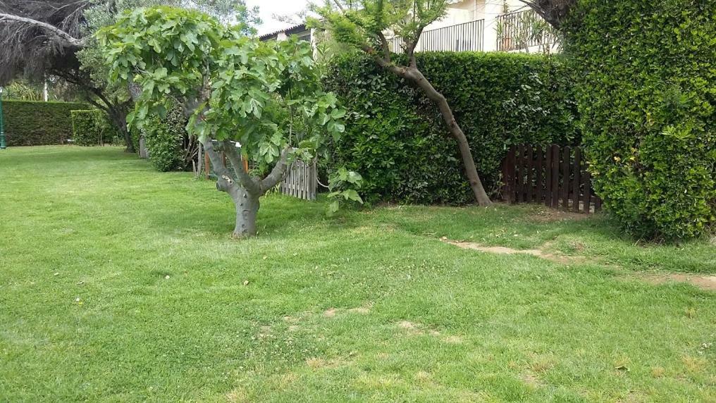 7 Maison Des Sables Grimaud Εξωτερικό φωτογραφία